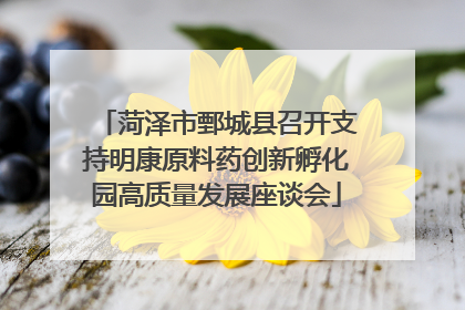 菏泽市鄄城县召开支持明康原料药创新孵化园高质量发展座谈会