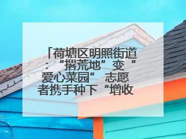 荷塘区明照街道：“撂荒地”变“爱心菜园” 志愿者携手种下“增收希望”