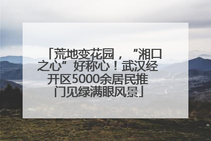 荒地变花园，“湘口之心”好称心！武汉经开区5000余居民推门见绿满眼风景