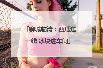 聊城临清：西瓜送一线 冰块进车间