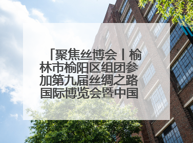 聚焦丝博会丨榆林市榆阳区组团参加第九届丝绸之路国际博览会暨中国东西部合作与投资贸易洽谈会