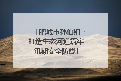 肥城市孙伯镇：打造生态河道筑牢汛期安全防线