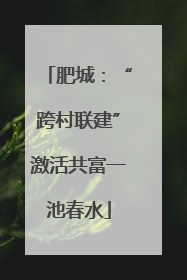 肥城：“跨村联建”激活共富一池春水