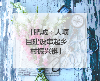 肥城：大项目建设串起乡村振兴链