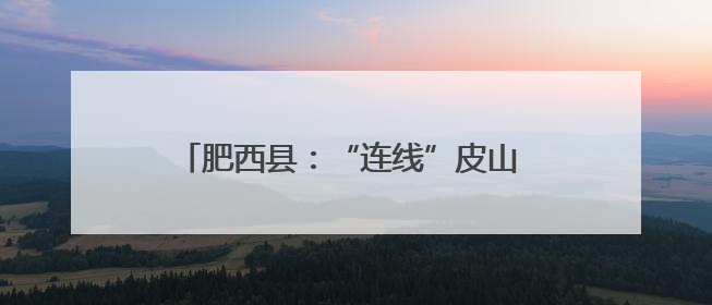 肥西县：“连线”皮山 皖疆共享优质教学资源