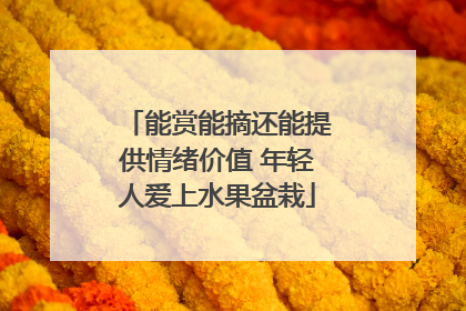 能赏能摘还能提供情绪价值 年轻人爱上水果盆栽