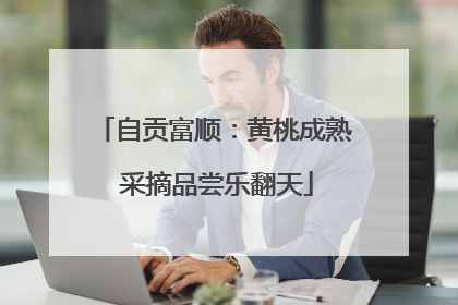 自贡富顺：黄桃成熟 采摘品尝乐翻天