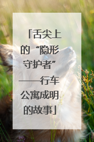 舌尖上的“隐形守护者”——行车公寓成明的故事