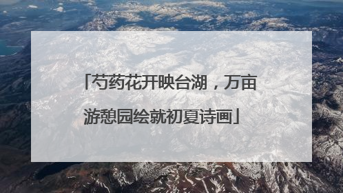 芍药花开映台湖，万亩游憩园绘就初夏诗画