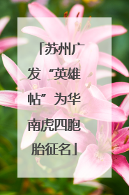 苏州广发“英雄帖”为华南虎四胞胎征名