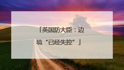 英国防大臣：边境“已经失控”