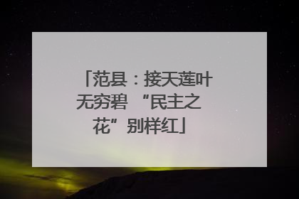 范县：接天莲叶无穷碧 “民主之花”别样红