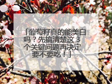 葡萄籽真的能美白吗？先搞清楚这 3 个关键问题再决定要不要吃！