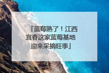 蓝莓熟了！江西宜春这家蓝莓基地迎来采摘旺季