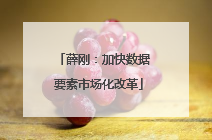 薛刚：加快数据要素市场化改革