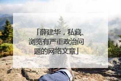 薛建华，私藏、浏览有严重政治问题的网络文章