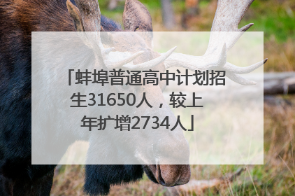 蚌埠普通高中计划招生31650人，较上年扩增2734人