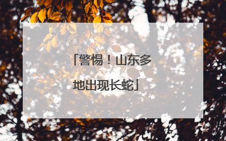 警惕！山东多地出现长蛇