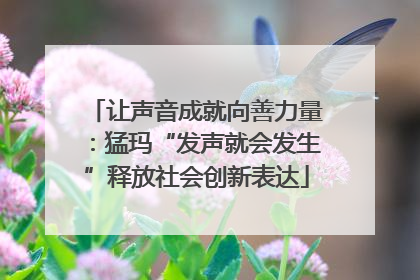 让声音成就向善力量：猛玛“发声就会发生”释放社会创新表达