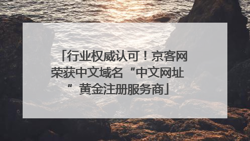 行业权威认可！京客网荣获中文域名“中文网址”黄金注册服务商