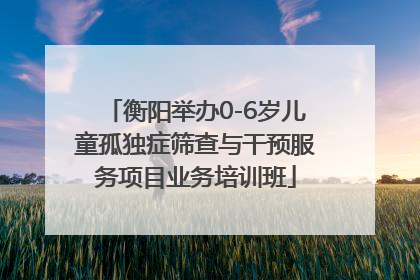 衡阳举办0-6岁儿童孤独症筛查与干预服务项目业务培训班