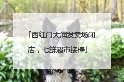 西红门大润发卖场闭店，七鲜超市接棒