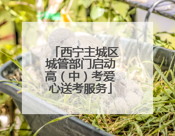 西宁主城区城管部门启动高（中）考爱心送考服务