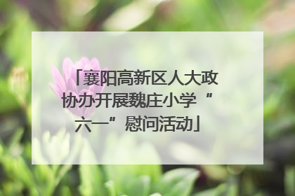 襄阳高新区人大政协办开展魏庄小学“六一”慰问活动
