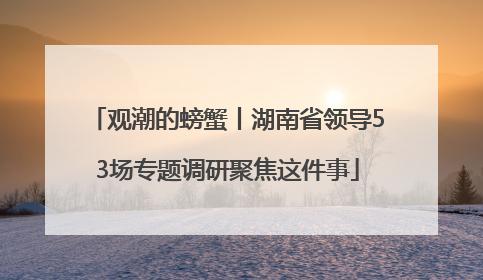 观潮的螃蟹丨湖南省领导53场专题调研聚焦这件事
