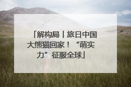 解构局丨旅日中国大熊猫回家！“萌实力”征服全球