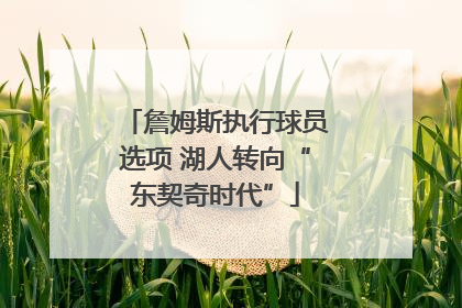 詹姆斯执行球员选项 湖人转向“东契奇时代”