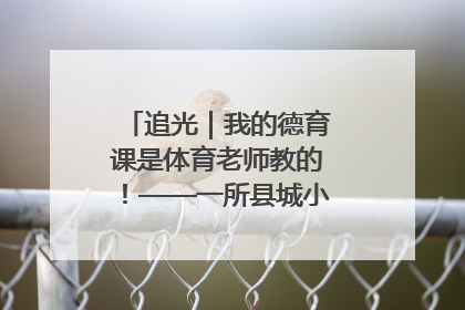 追光｜我的德育课是体育老师教的！——一所县城小学的思政课改革