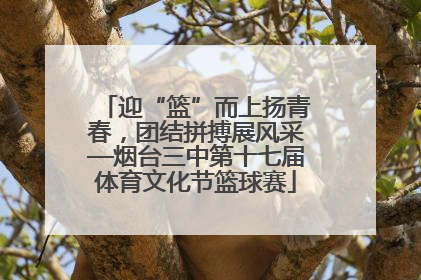 迎“篮”而上扬青春，团结拼搏展风采—烟台三中第十七届体育文化节篮球赛