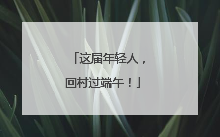 这届年轻人，回村过端午！