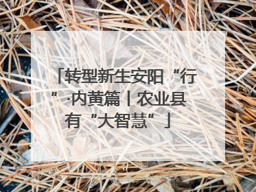 转型新生安阳“行”·内黄篇丨农业县有“大智慧”