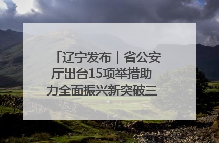 辽宁发布｜省公安厅出台15项举措助力全面振兴新突破三年行动决胜之战