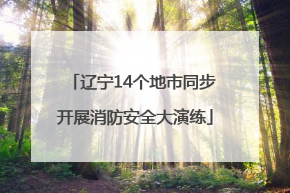 辽宁14个地市同步开展消防安全大演练