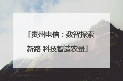 贵州电信：数智探索新路 科技智造农景