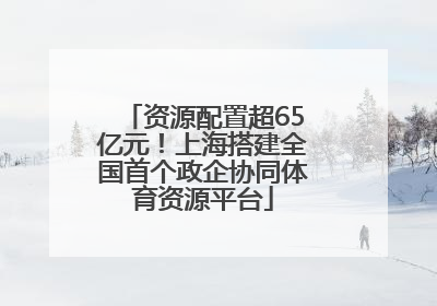 资源配置超65亿元！上海搭建全国首个政企协同体育资源平台
