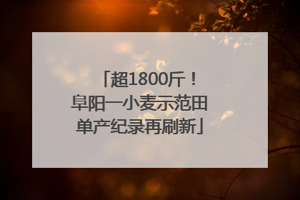 超1800斤！阜阳一小麦示范田单产纪录再刷新