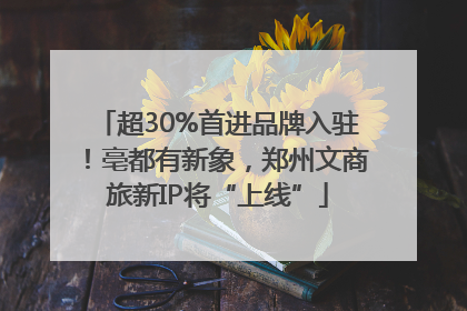 超30%首进品牌入驻！亳都有新象，郑州文商旅新IP将“上线”