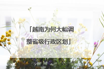 越南为何大幅调整省级行政区划