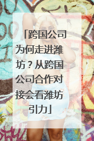 跨国公司为何走进潍坊？从跨国公司合作对接会看潍坊引力