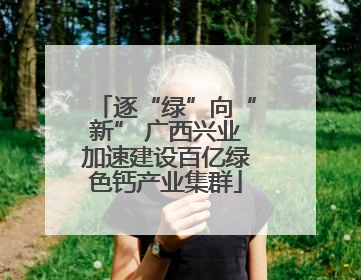 逐“绿”向“新” 广西兴业加速建设百亿绿色钙产业集群