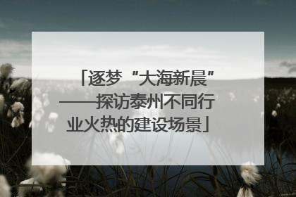 逐梦“大海新晨”——探访泰州不同行业火热的建设场景