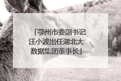 鄂州市委副书记汪小波出任湖北大数据集团董事长