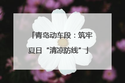 青岛动车段：筑牢夏日“清凉防线”