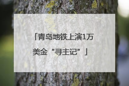 青岛地铁上演1万美金“寻主记”