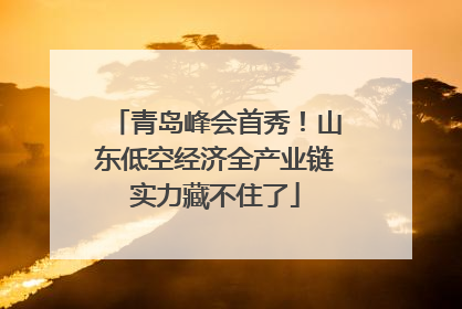 青岛峰会首秀！山东低空经济全产业链实力藏不住了
