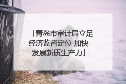 青岛市审计局立足经济监督定位 加快发展新质生产力